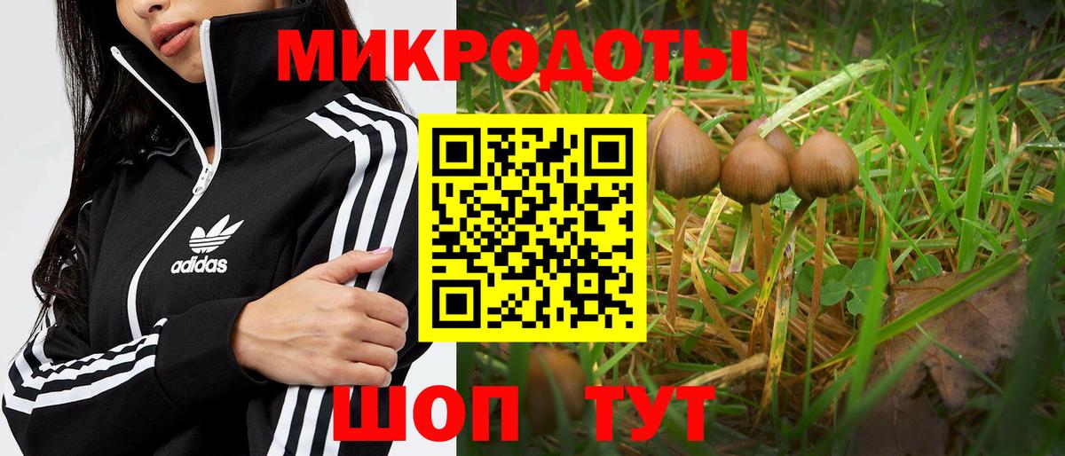 Псилоцибиновые грибы Magic Shrooms Златоуст