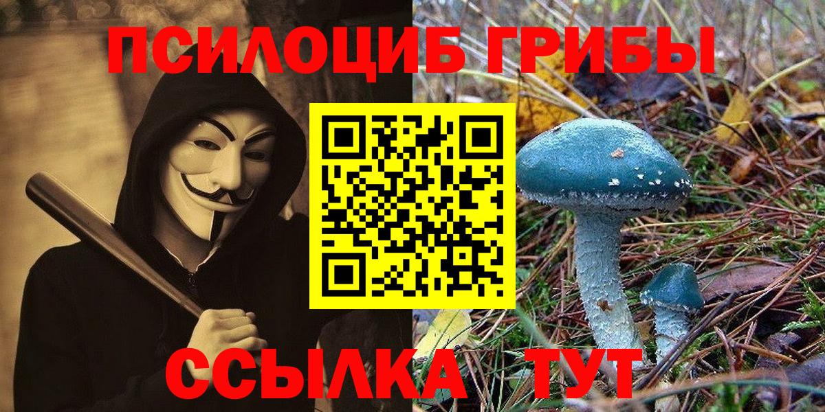 Псилоцибиновые грибы прущие грибы  Вход с VPN  Златоуст 